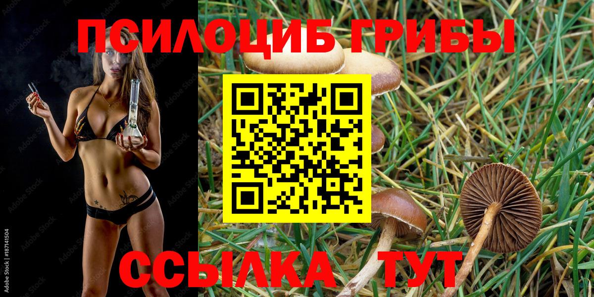 Галлюциногенные грибы MAGIC MUSHROOMS  Вход с VPN  где купить наркоту  Зеленогорск 