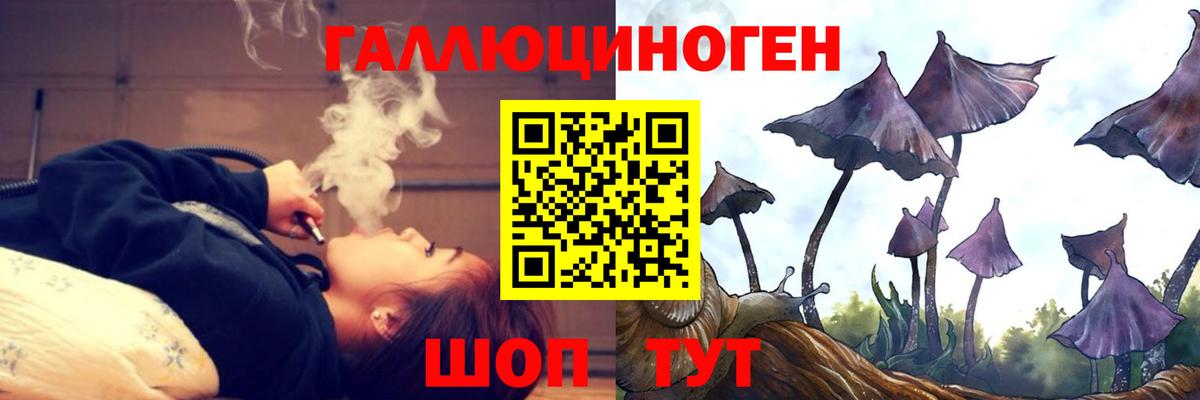 Галлюциногенные грибы Psilocybe  Зеленогорск  Галлюциногенные грибы Magic Shrooms 