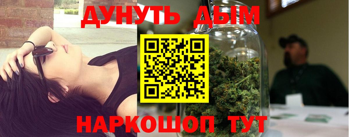 Конопля планчик  Зеленогорск  Канабис Bruce Banner  Бошки марихуана план 